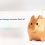 are-personal-savings-accounts-worth-it-v2_c0f3a5eacf03cf2e00a45c6251bd983c_2000-45x45